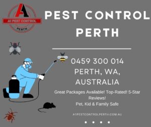 Helpful Tips To Find The Best And Safest Perth Pest Control
