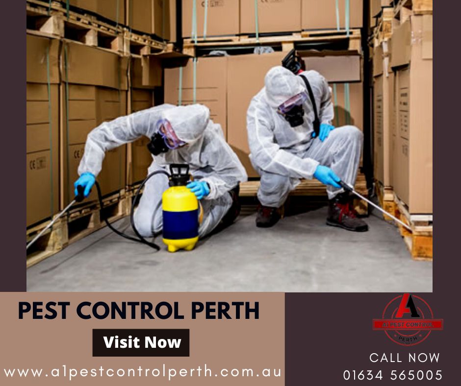 Pest Control Perth 