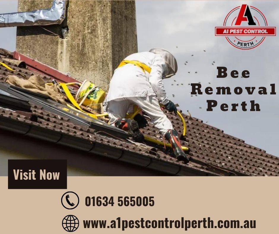 Bee-Removal-Perth